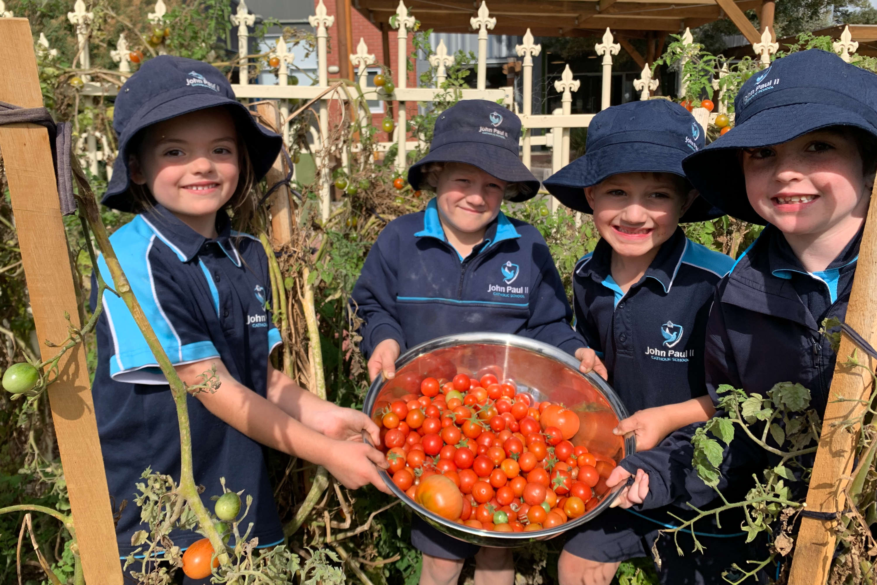 Grade 2 students from John Paul II Catholic School harvesting tomatoes from the school garden.