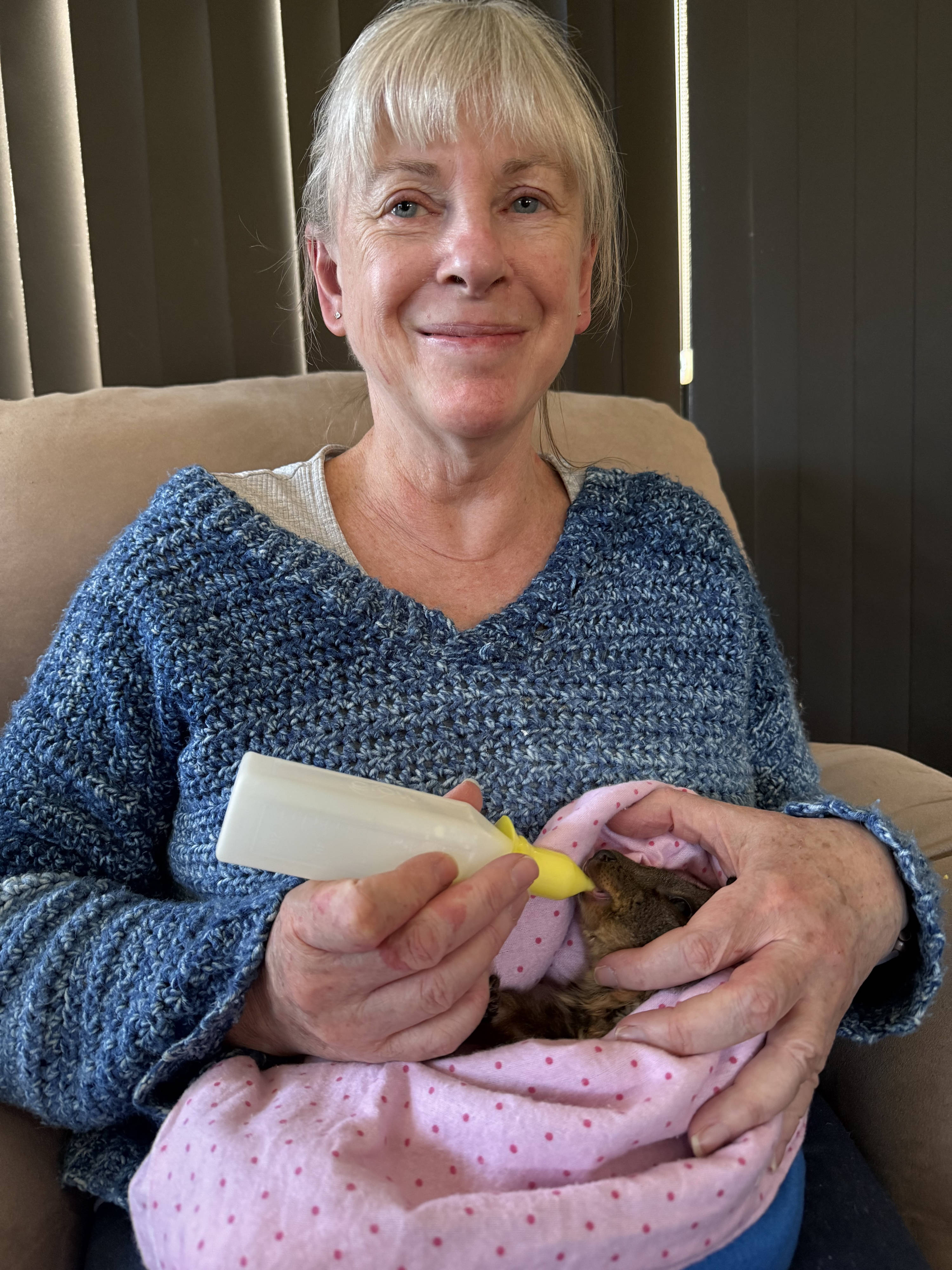 Kate Bean feeding Quinn the pademelon joey.